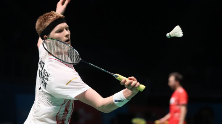 藏着团队努 藏着团队努