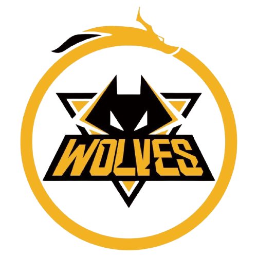 国际影响力 国际影响力